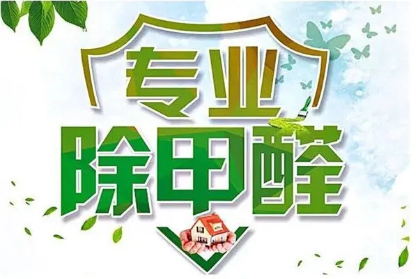 专业除甲醛机构.jpg